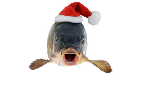 Christmas Advance Orders|Seafood Bazaar