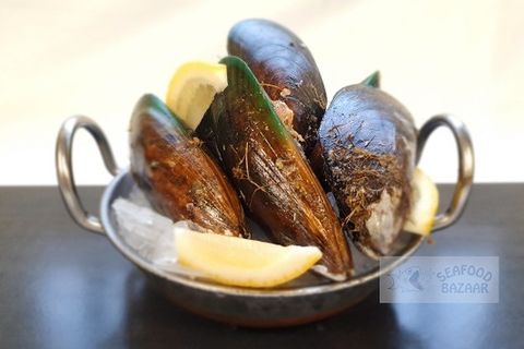 Live Mussels per kg