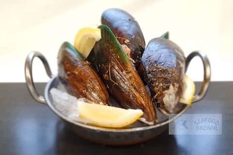 Live Mussels per kg