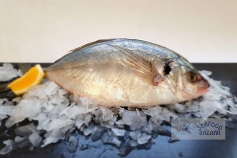 Trevally Whole Approx 900 grams