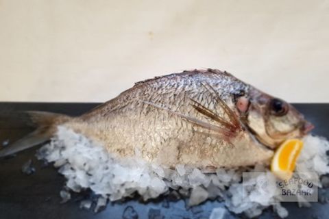 Tarakihi Gilled Gutted & Scaled Approx 900 grams