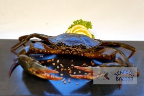 Mud Crab Frozen Raw approx 600 grams