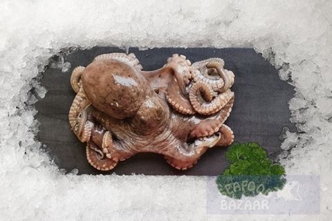 Octopus Whole Frozen 800 gram +