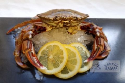 Fresh NZ Paddle Crabs per kg