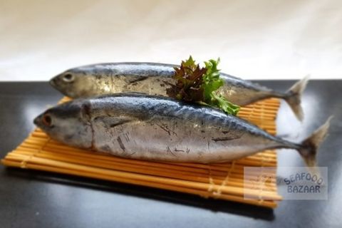 Tulingan (Bullet Tuna) Whole Frozen 4/5 1kg