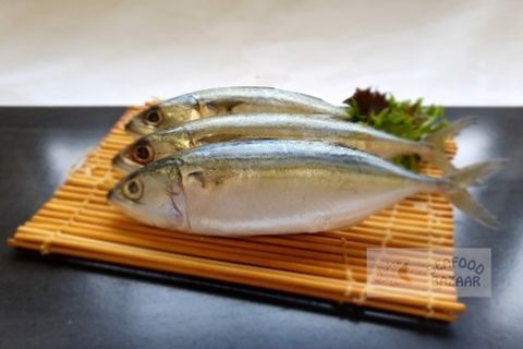 Indian Mackerel Whole Frozen 8/10 1kg