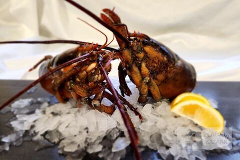Lobster Heads/Legs Frozen per kg