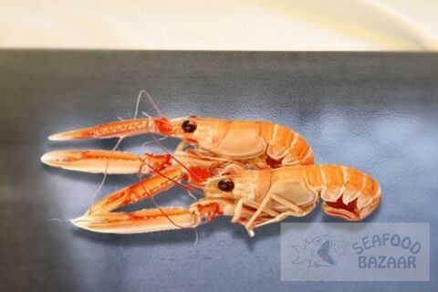 Langoustine Whole Raw Frozen Large 16/20 1kg