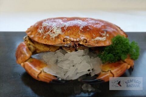 Brown Crab Whole Cooked Frozen Approx. 800gm