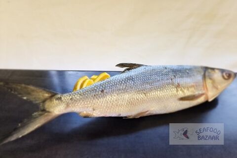 Milkfish Whole Frozen Approx. 700gm