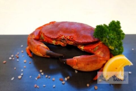 Stone Crab Whole Cooked Frozen Approx. 700gm