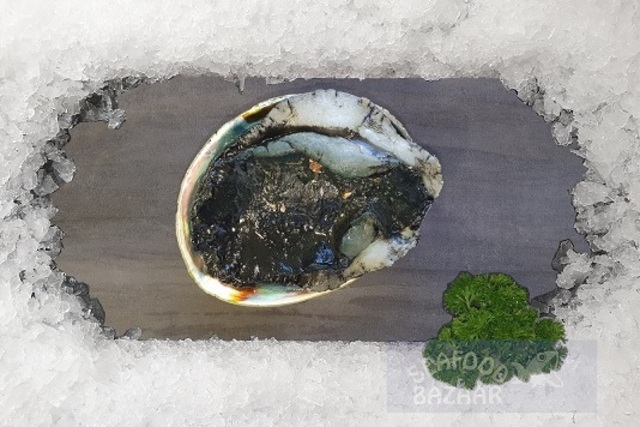 Paua Whole|Seafood Bazaar