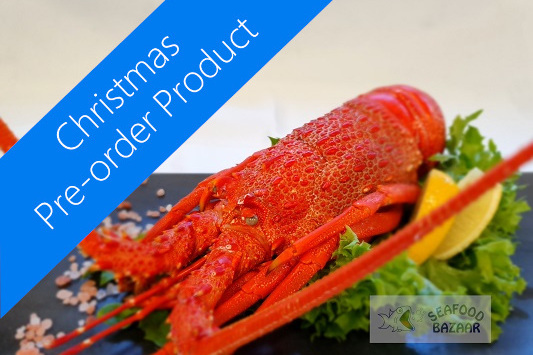 Crayfish Cooked approx 550 to 600 grams - PREORDER