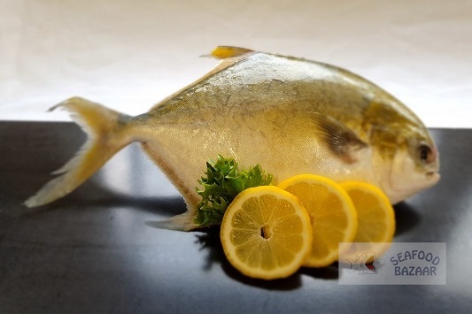 Golden Pompano Whole Frozen approx 700gm