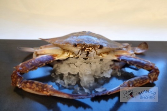 Blue Swimmer Crab Whole Frozen Approx 450gm