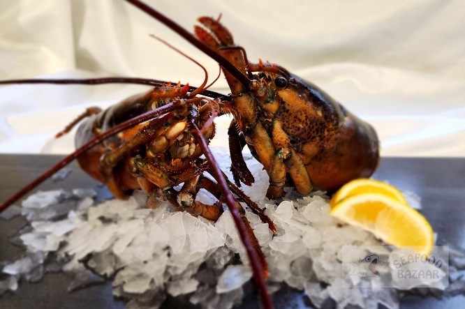 Lobster Heads/Legs Frozen per kg